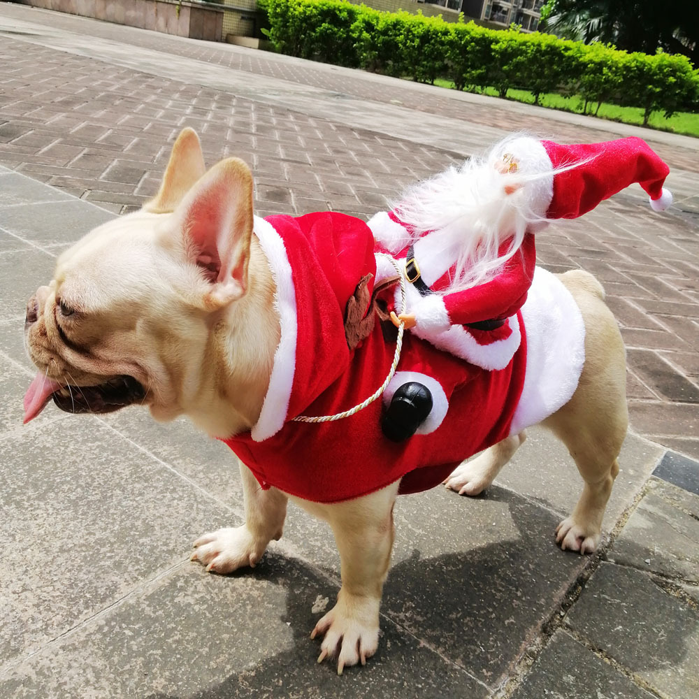 Vêtements de Noël et d'Halloween pour chiens en gros, vêtements mignons pour chiens de petite, moyenne et grande taille, vêtements de luxe pour chiens 5