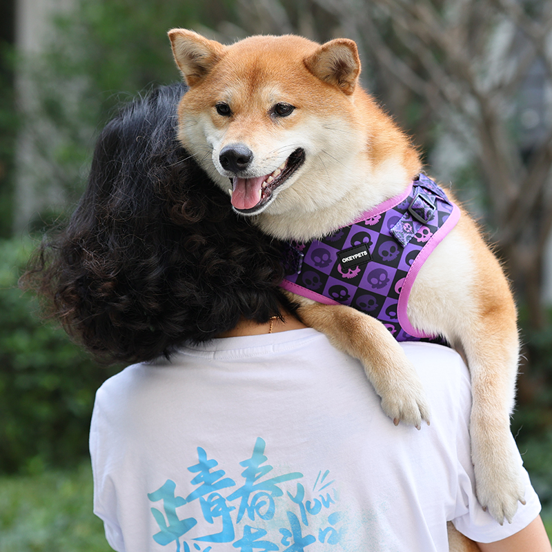 Coiléar Úim agus Iall Madra In-análaithe le Mogalra Neoprene Poileistear Priontáilte Sublimation Saincheaptha OKEYPETS 4