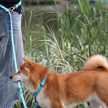 OKEYPETS - Explication détaillée de la laisse et du collier imperméables en PVC pour chien 6