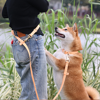 OKEYPETS - Explication détaillée de la laisse et du collier imperméables en PVC pour chien 5