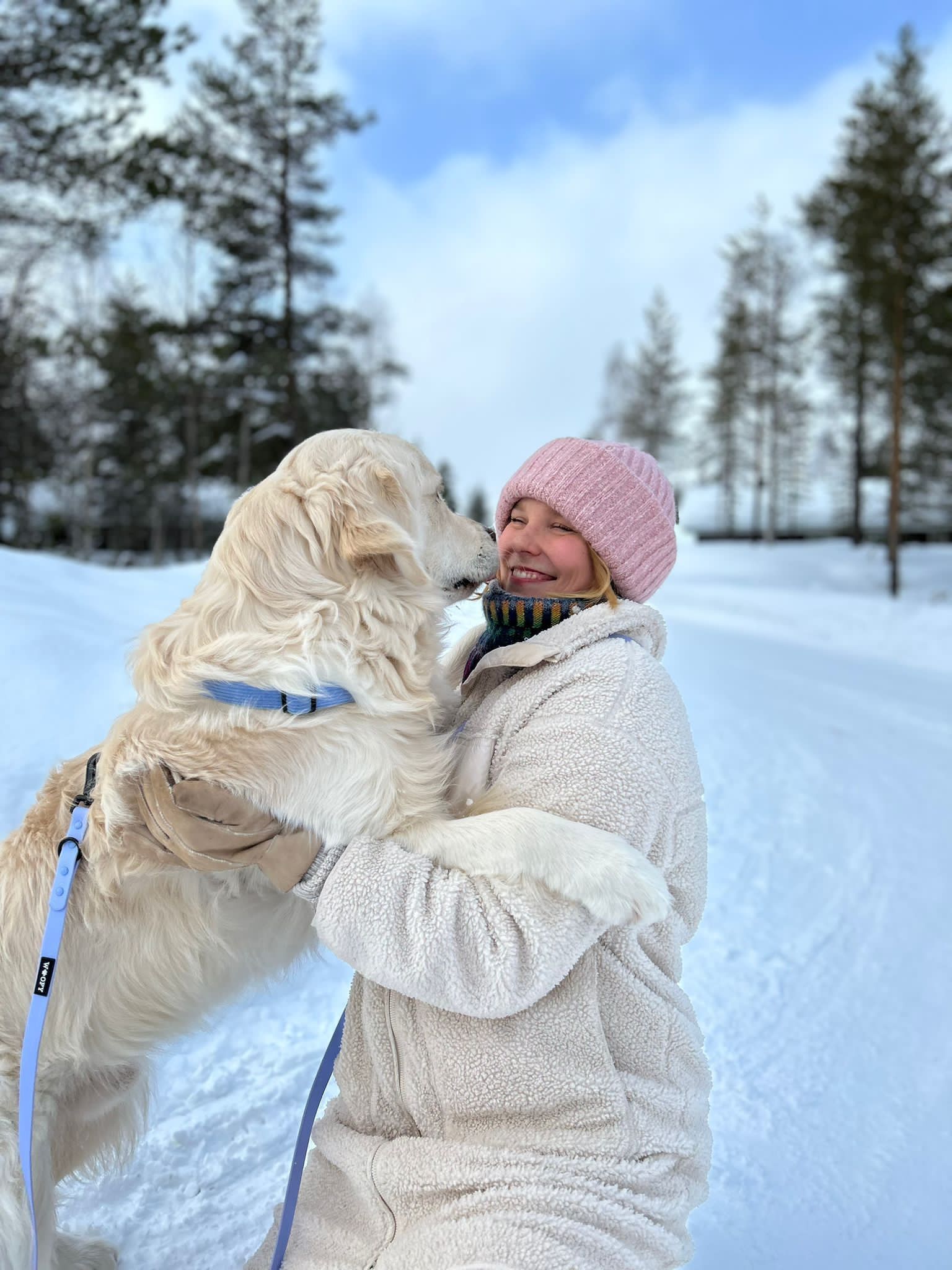 Les cinq races de chiens les plus populaires aux États-Unis 3