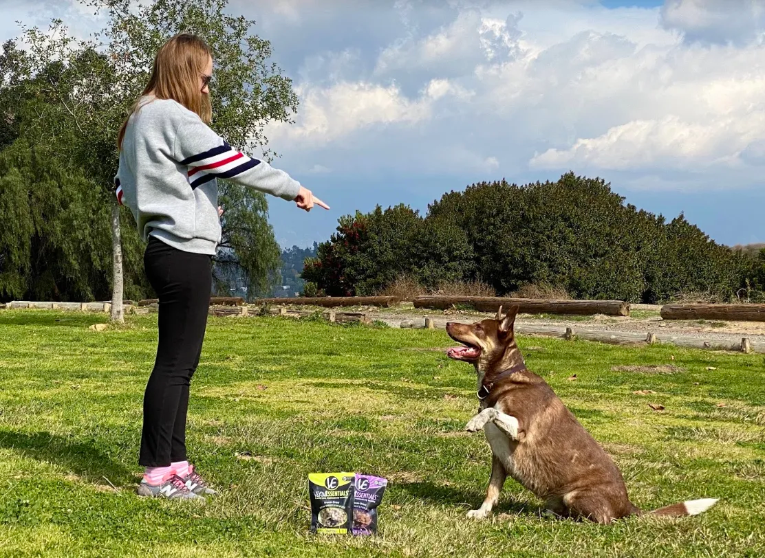 Jak groźny jest pies-tyran? 4