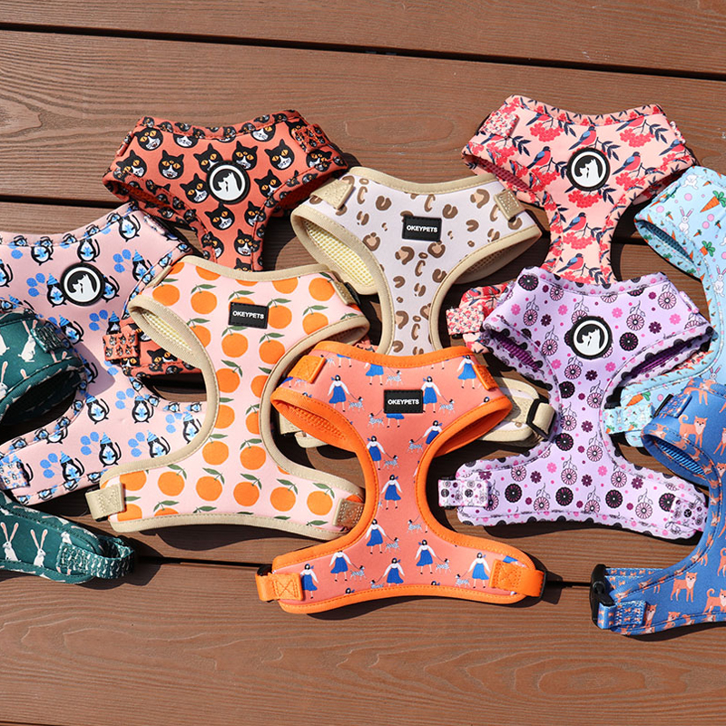 Quels sont quelques films classiques et émouvants sur les chiens ? 12