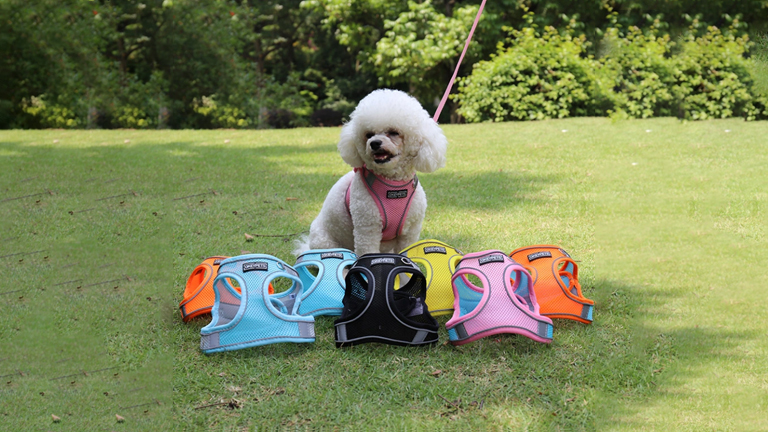 Quels sont quelques films classiques et émouvants sur les chiens ? 3