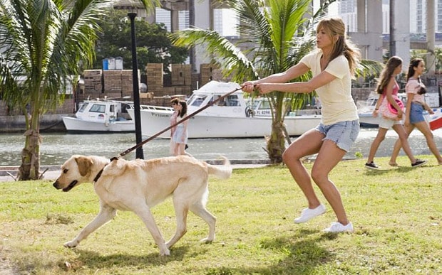 Quels sont quelques films classiques et émouvants sur les chiens ? 8