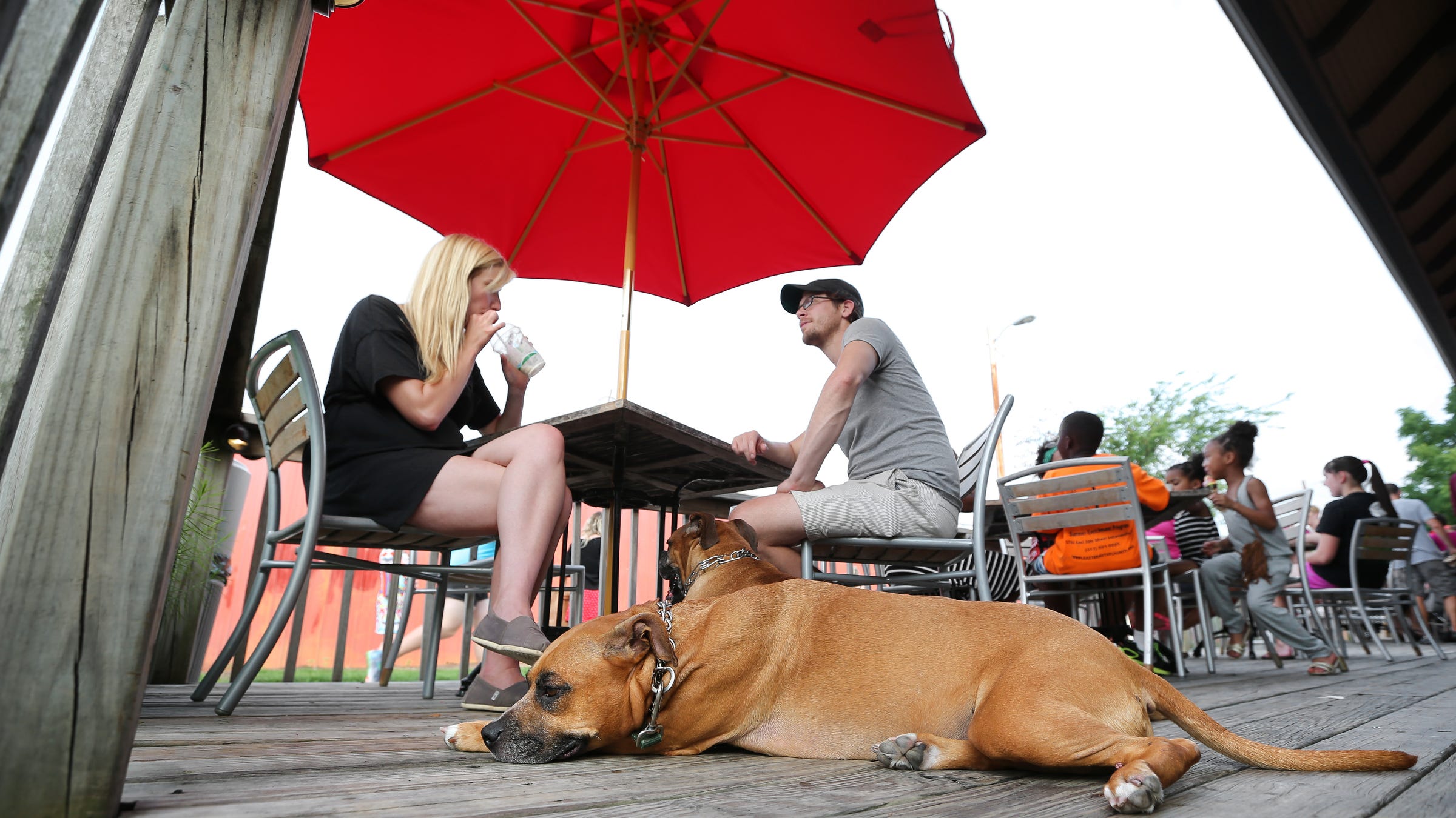 À quoi faut-il faire attention lorsqu'on élève un chien en ville ? 7