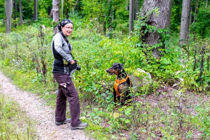 Quelles races de chiens conviennent comme chiens de recherche et de sauvetage ? 7