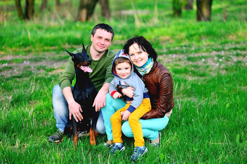 À quoi faut-il faire attention lorsqu'on élève un Doberman ? 5