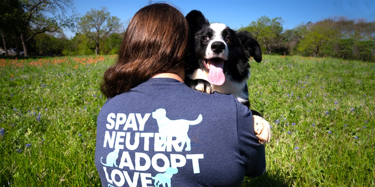 Majitelia psov by mali byť opatrní. Očkovanie proti besnote je potrebné v rôznych situáciách, keď ich pes uhryzne alebo poškriabe. 7