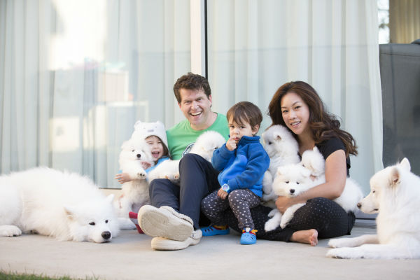 Aké šťastie im prinesie, keď sa rozhodnú vychovávať samojeda? S akými ťažkosťami sa stretnú? 1