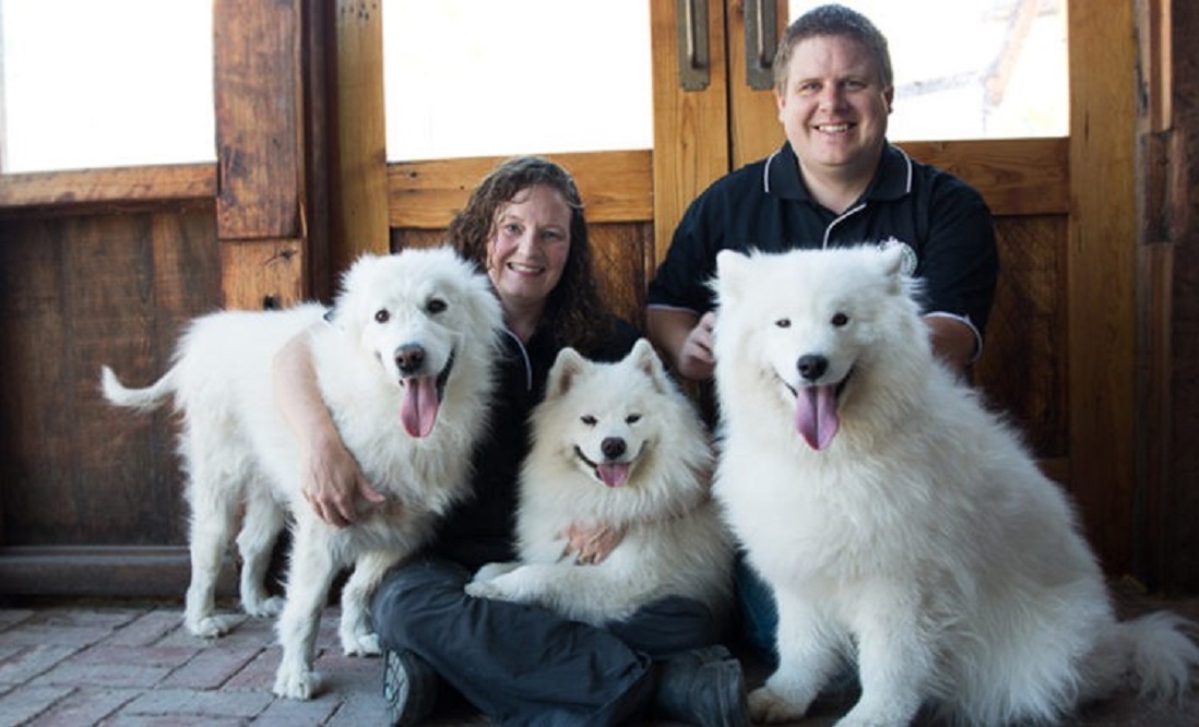 OKEYPETS Anges Souriants 1