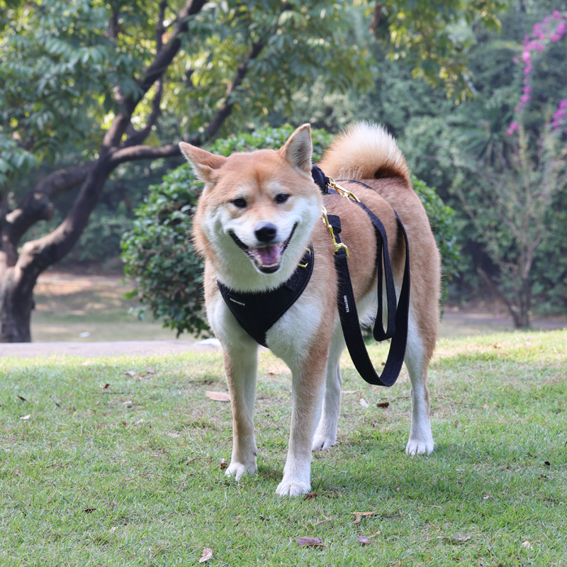 Vad lägger kunderna mest vikt vid när de köper en hundsele? 7