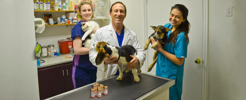 Quels sont les aspects les plus frustrants de la possession d'un chien ? 5