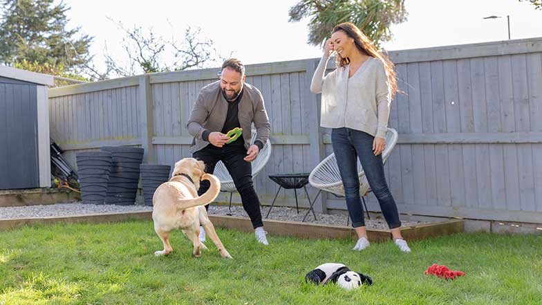 Какво можем да направим, за да помогнем на кучетата да живеят по-дълго? 8