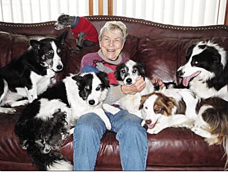 De ce alegem compania canină? Înțelegerea motivelor din spatele achiziționării unui câine 1