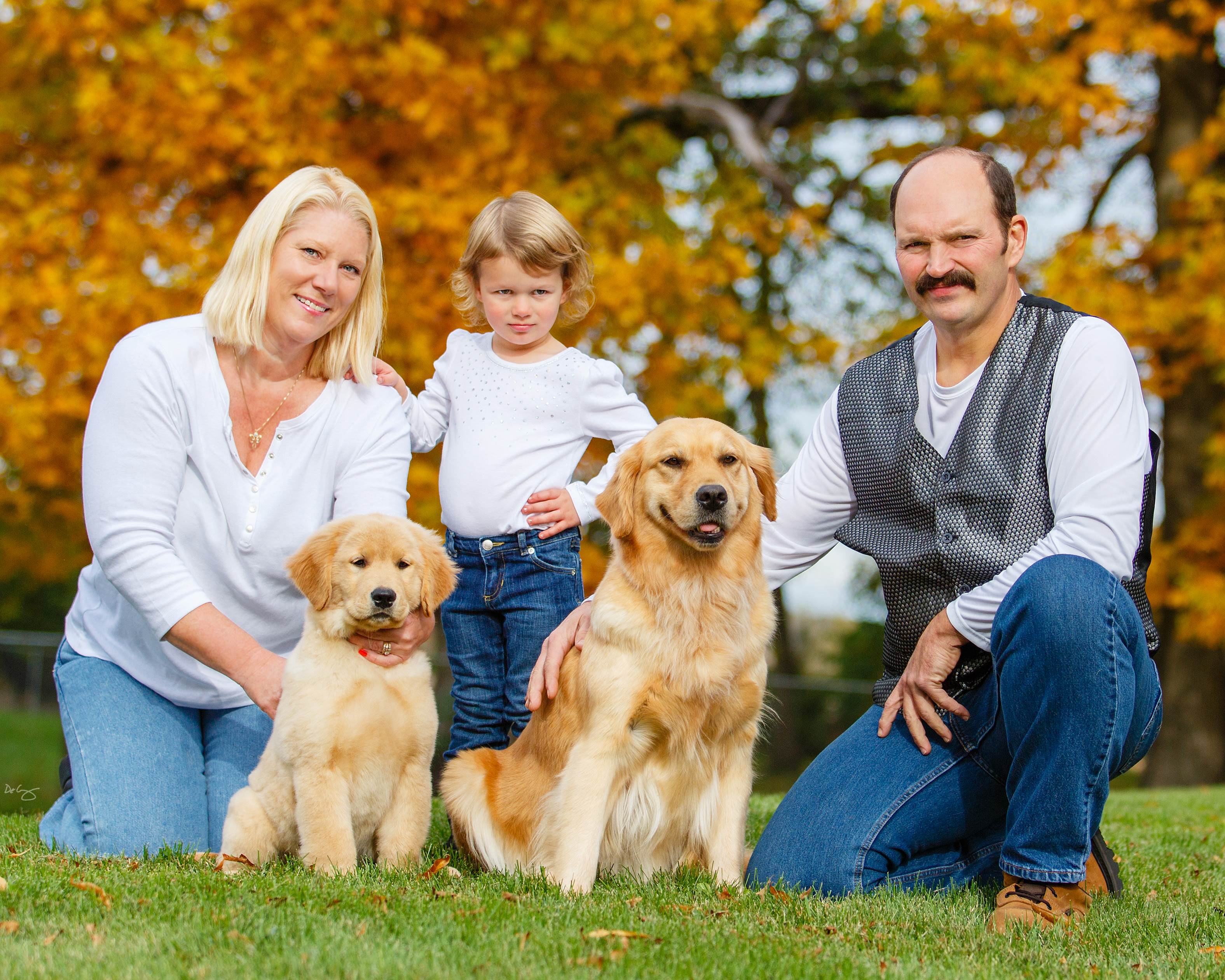 Avantages et inconvénients de posséder un Golden Retriever 3