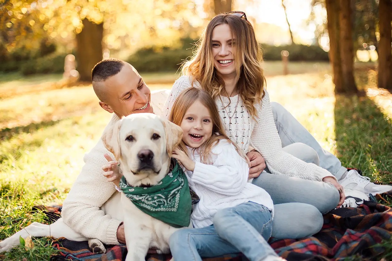 Vantagens e desvantagens de se ter um Labrador. 1