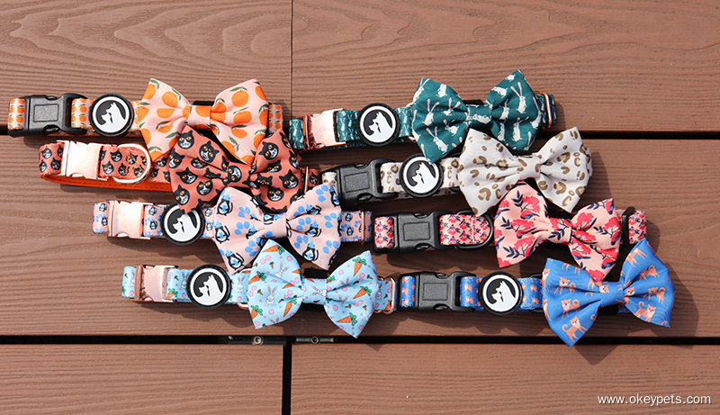 Colliers ou harnais pour chiens : lequel est le meilleur pour votre chien ? 6