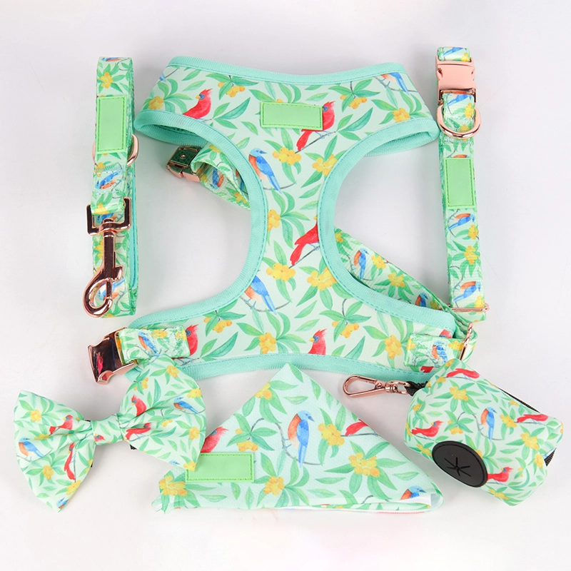 Nouveautés - Ensemble harnais pour animaux 2