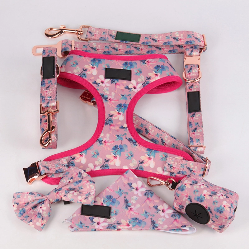 Nouveautés - Ensemble harnais pour animaux 3