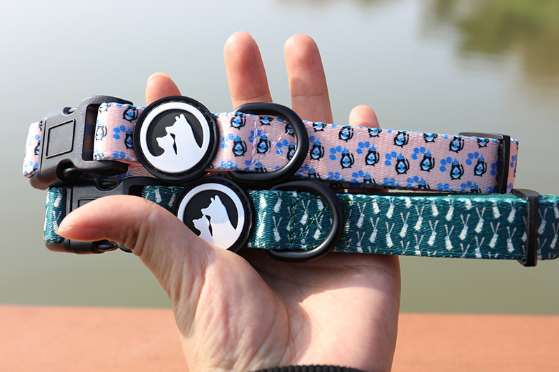 Colliers ou harnais pour chiens : lequel est le meilleur pour votre chien ? 2