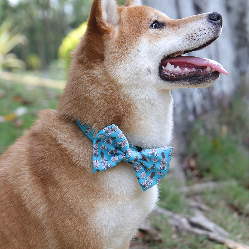 DOG HARNESS AND LEASH SET: HARNESS, COLLAR, LEASH, POOP BAG, BOW TIE, AND BANDANA 7
