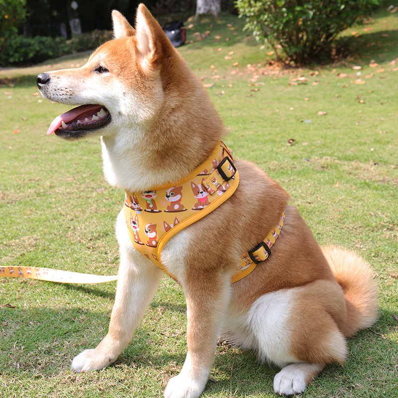 DOG HARNESS AND LEASH SET: HARNESS, COLLAR, LEASH, POOP BAG, BOW TIE, AND BANDANA 4