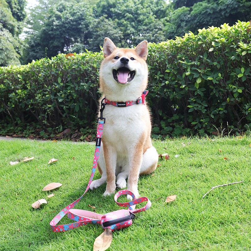DOG HARNESS AND LEASH SET: HARNESS, COLLAR, LEASH, POOP BAG, BOW TIE, AND BANDANA 3