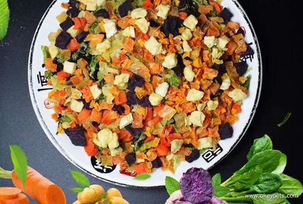 Ikke kjøp disse 5 tingene når du oppdrar hund! 2