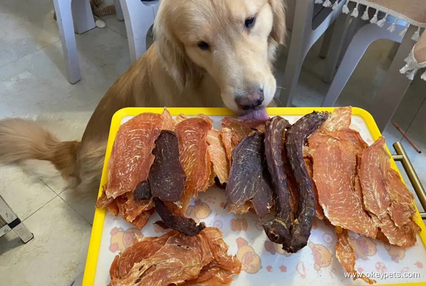 Ikke kjøp disse 5 tingene når du oppdrar hund! 5