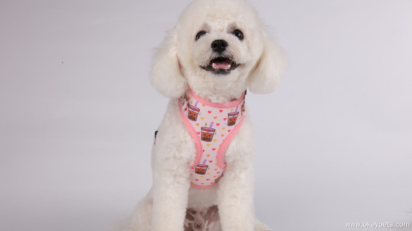 Quel type de laisse pour chien est le mieux adapté ? 6