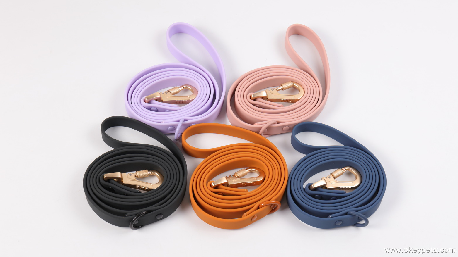 Quel type de laisse pour chien est le mieux adapté ? 4