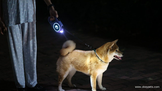 Quel type de laisse pour chien est le mieux adapté ? 7