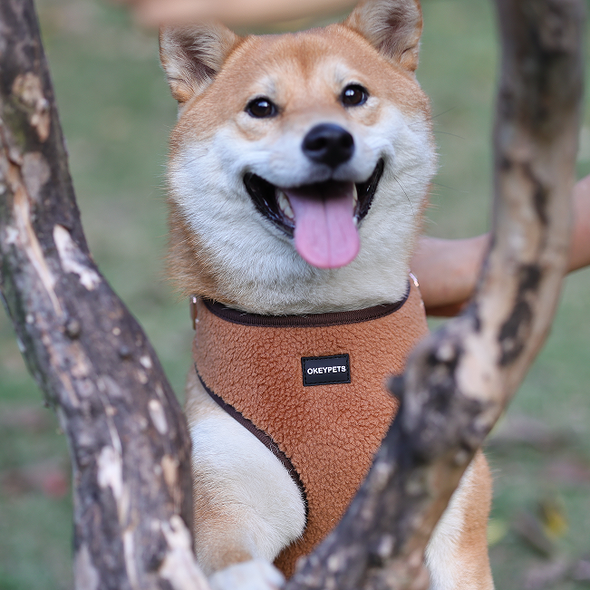 Quels types de matériaux utilisons-nous pour les harnais pour animaux de compagnie ? 11