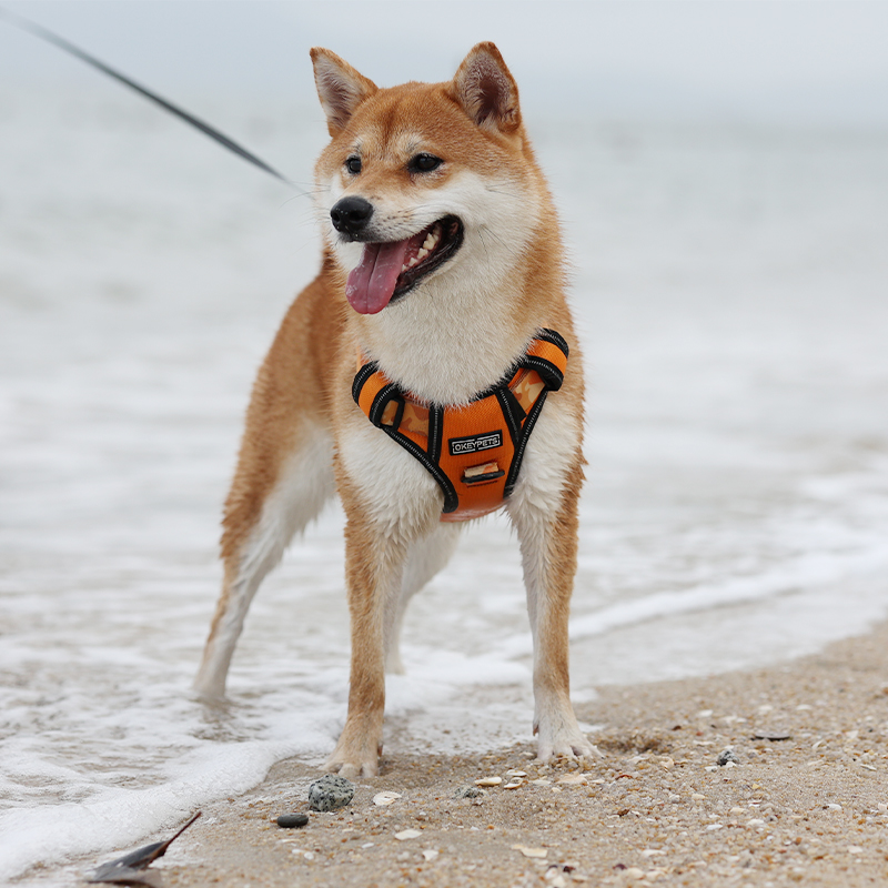 Quels types de matériaux utilisons-nous pour les harnais pour animaux de compagnie ? 9