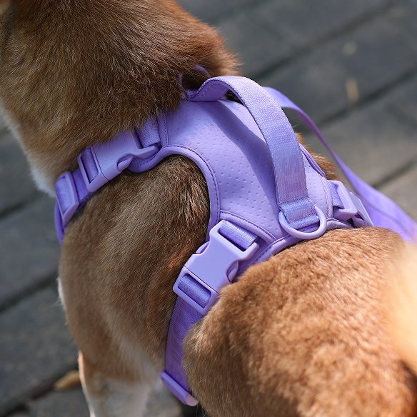 Quels types de matériaux utilisons-nous pour les harnais pour animaux de compagnie ? 15