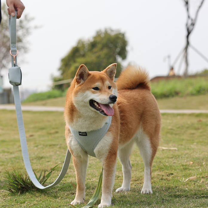 Quels types de matériaux utilisons-nous pour les harnais pour animaux de compagnie ? 13