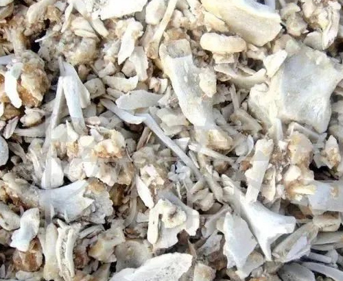 9 aliments courants que les chiens ne peuvent pas manger 4