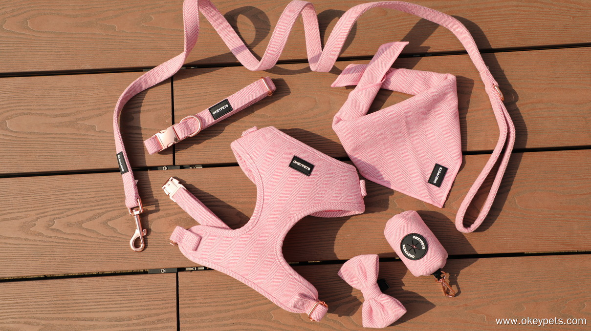 Articles indispensables pour promener son chien 3