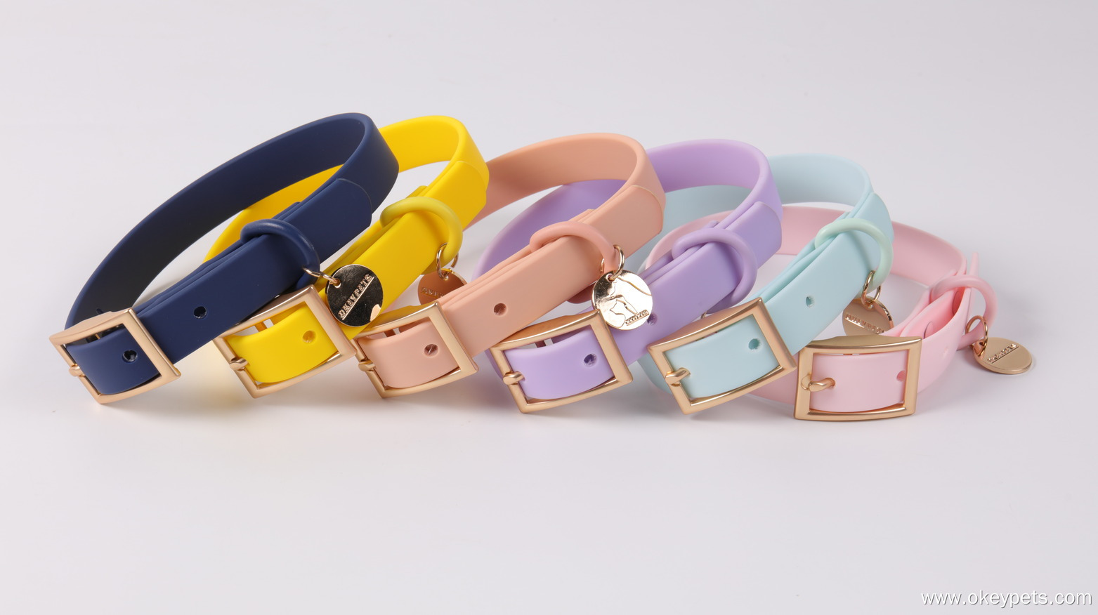 Articles indispensables pour promener son chien 4