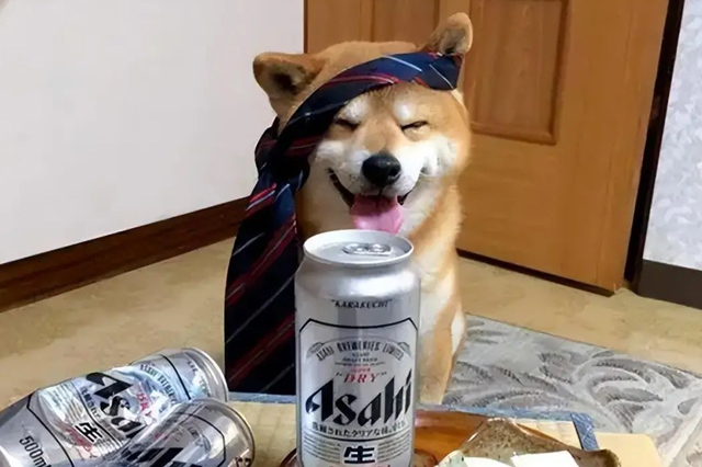 نصيحة: شرب الكلاب لهذا الماء يعادل "إيذاء الكلاب"! 3