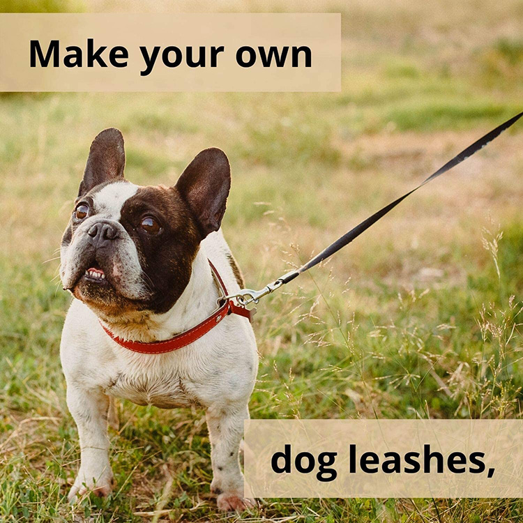 Hundeutstyr: Det beste hundebåndet for hunden din 3