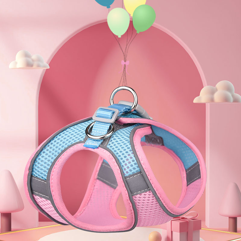 Comment garder votre chien au frais cet été ? 6