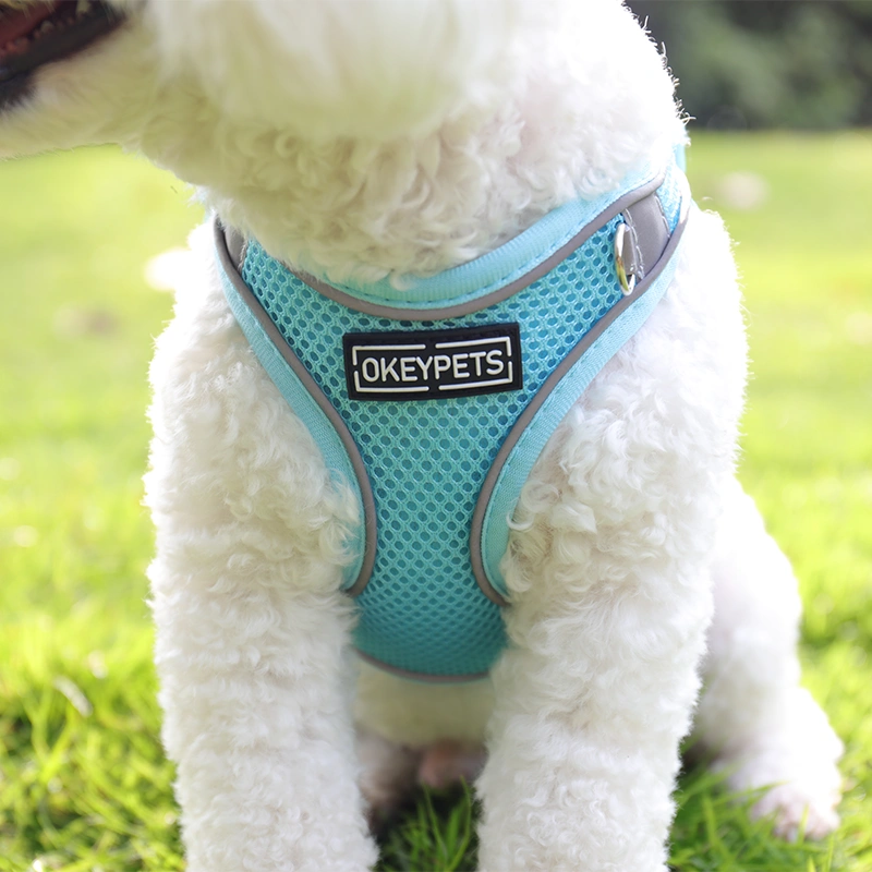 Mesh Dog Harness