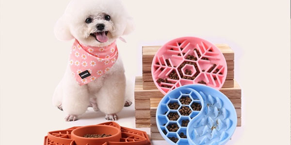 Do You Know About Dog Diet Knowledge ? 5