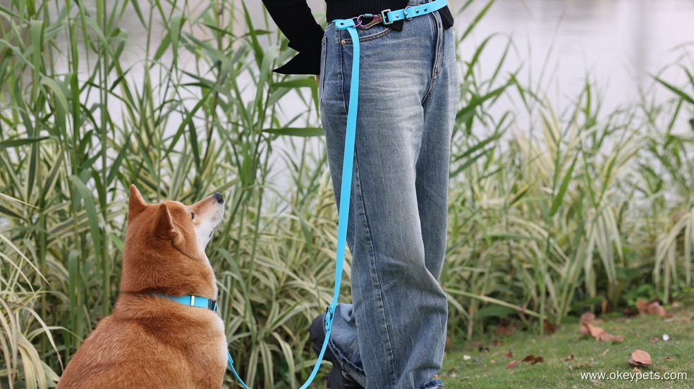 La valeur émotionnelle que procurent les animaux de compagnie 34