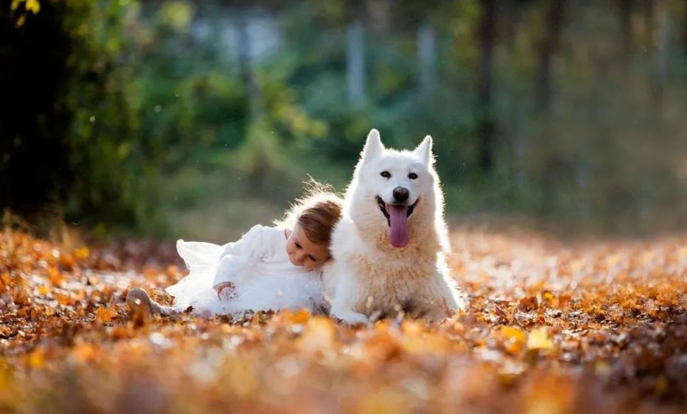 La valeur émotionnelle que procurent les animaux de compagnie 6
