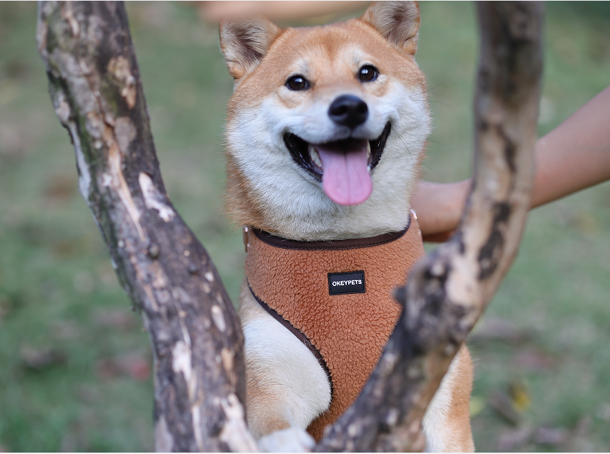 Types of Dog Harnesses & How to Choose 7