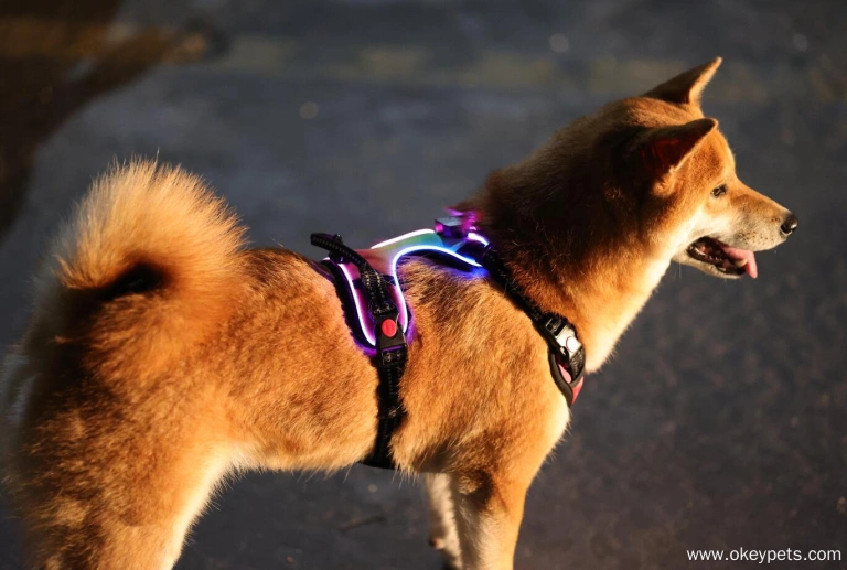 Reflective Dog Harness