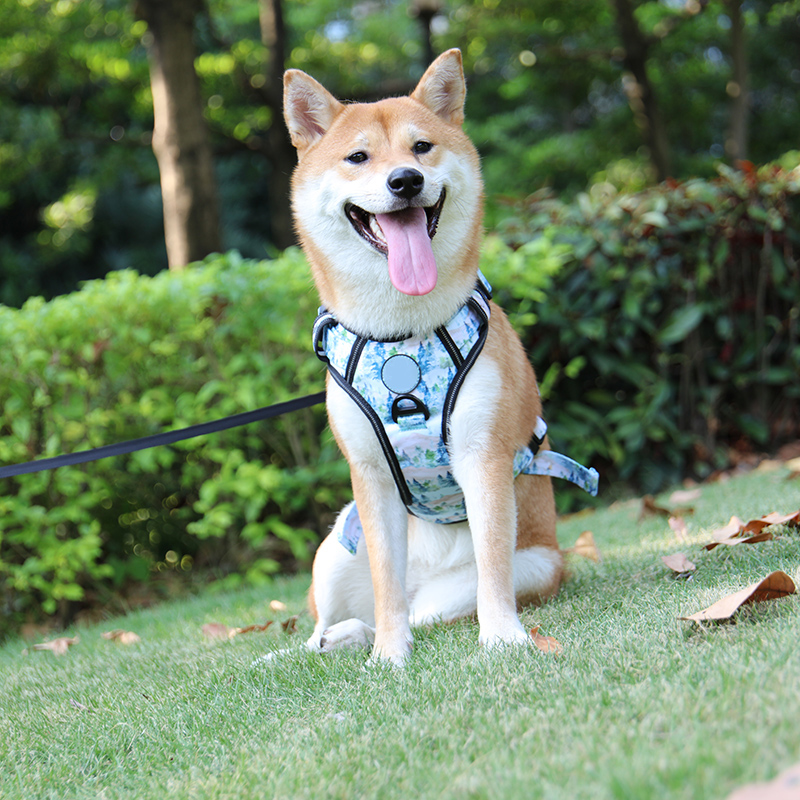 Front Clip Dog Harnesses